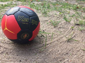 向鹏澳门赛首轮出局，国乒男单阵容再遭打击，wtt澳门乒乓球男单